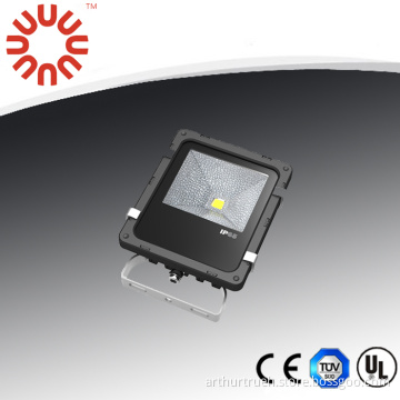 Portable Outdoor LED Floodlight for Energy Saving Flood Lamp